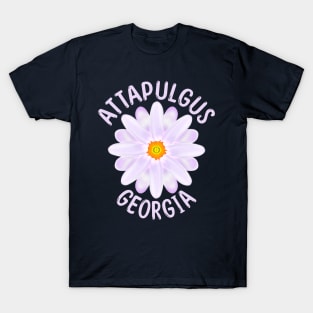 Attapulgus Georgia T-Shirt